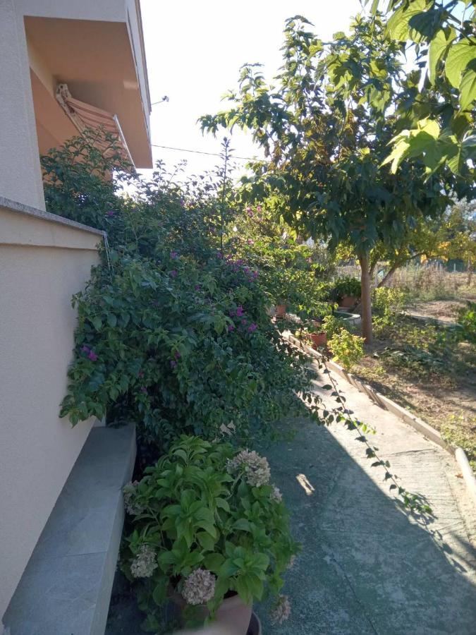 Apartmani Danijela Lopar Exterior foto